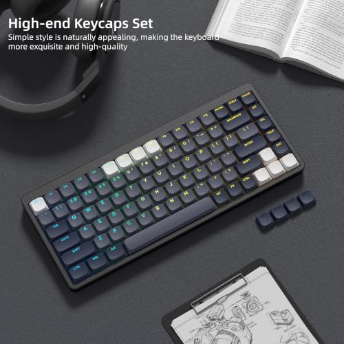 Womier Low Profile Keycaps - PBT Shine Through Keycaps | Mechanical Keyboard Caps, Custom Key caps Full Size for 60 65 75 100 Percent Cherry MX Switches Mechanical Keyboard, Gray - color: Dark Grey