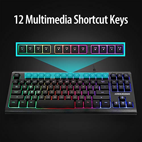 Lumsburry Computer Keyboard, 87 Keys Compact Wired USB Keyboard with Rainbow LED Light Up Backlit for PC Gaming Laptop Teclado Gamers Office Working