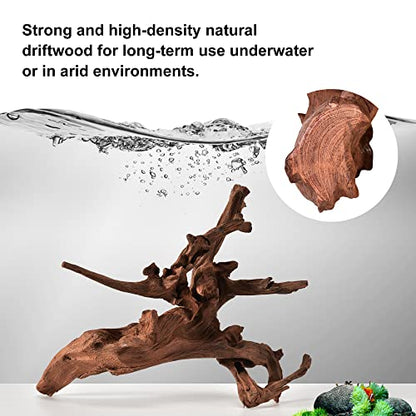 majoywoo Natural Large Driftwood for Aquarium Decor Reptile Decor 13-17" Long, Over 1.3 lbs - size: Mopani Driftwood 13 to 17 Inch (Pack of 1)