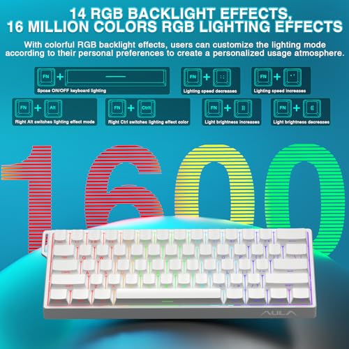 Aula WIN60 HE - 60% Mechanical Gaming Keyboard Wired, Hall Effect Magnetic Switch Hot Swappable, Adjustable Actuation RT Mode, 8000 Hz Polling Rate, RGB Keyboard 60 Percent Compact Design for PC - color: White