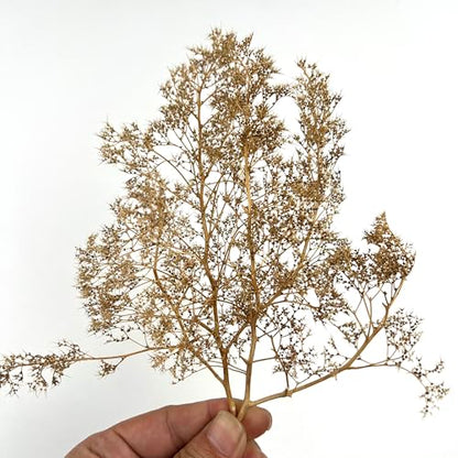 Flexible Model Tree Armatures - 1:24 to 1:220 Scale Natural Wood Texture Skeletons for Railway, Diorama & Wargame Terrain - Unbreakable & Easy to Shape, Ages 14+ (Brown) - color: Brown
