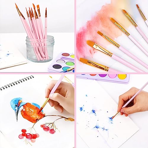 AROIC Acrylic Paint Brushes, 6 Packs/60 pcs Nylon Hair Paint Brush Set for All Purpose Oil Watercolor Painting Artist Professional Kits (Pink) - size: 60pcs-pink