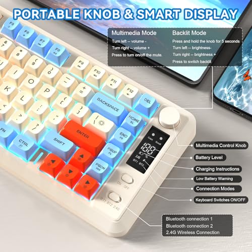 ZIYOU LANG M75 Wireless Gaming Keyboard, RGB Backlit Rechargeable 2000mAh Battery, Small Membrane But Mechanical Feel Keyboard with Smart Display & Knob, PBT Gradient keycaps for PC, MAC - Blueberry - color: Blueberry
