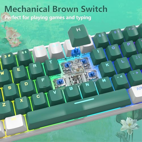 RK-T60 Wired 60% TKL Mechanical Gaming Keyboard Led Rainbow Backlight Ultra-Compact NKRO Linear Red Switch ABS Keycap RGB Honeycomb Mice Coiled Aviator Cable for Windows Laptop PS4/PC/WIN Gamer - color: Green/Blue Switch