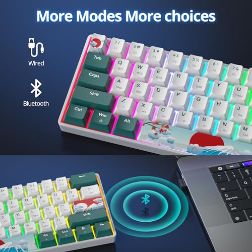 surmen Wireless Keyboard 60% Gaming Keyboard 60 Percent, Hot Swappable RGB Mini Bluetooth BT5.0/USB-C Mechanical Keyboard with Software for Windows Mac Laptop (Gateron Red, Green 61) - color: Green 61-Red Switch