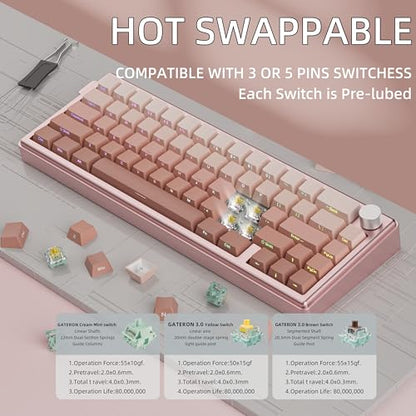 KY65 Wireless Mechanical Keyboard,65% Gasket Hot Swappable Custom Keyboard,RGB Backlit,Pre-lubed Gateron Switches,Side Printed PBT Keycaps,2.4GHz/TYPE-C/BT5.0 Mechanical Gaming Keyboards, Pink&Brown