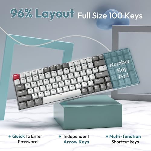 RK ROYAL KLUDGE RK100 Wireless Mechanical Keyboard RGB Backlit Bluetooth5.1/2.4G/Wired 96% Full Size 100-Key Hot Swappable Gaming Keyboard Red Switch Classic - color: Classic, size: Hot Swappable Red Switch