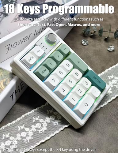 Gasket Creamy Mechanical Numpad Programmable Keypad RGB LED Backlit | Wireless 2.4G/Bluetooth/Wired USB-C Hot Swappable Macro Number Pad Rechargeable Numeric Keyboard Metal Knob, Botanic Garden - color: Botanic Garden