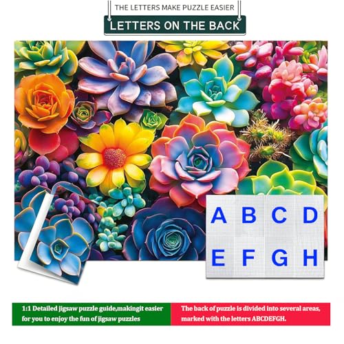 1000 Piece Puzzle for Adults, 20 x 27 inches Jigsaw Puzzles - Succulents | Tight Piece Fit, 1:1 Reference Poster, Lettered Back, Minimal Puzzle Dust, Vibrant Colors, 2mm Extra-Thick Pieces - color: 1000 Pieces-colorful Succulents