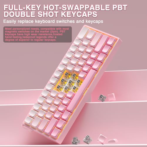 Aula WIN60 HE - 60% Mechanical Gaming Keyboard Wired, Hall Effect Magnetic Switch Hot Swappable,8000 Hz Polling Rate, RGB Keyboard 60 Percent Compact Design for PC (Gradient Pink) - color: Gradient Pink