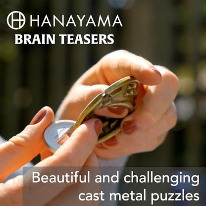 BePuzzled |Cake Hanayama Metal Brainteaser Puzzle Mensa Rated Level 4, for Ages 12 and Up