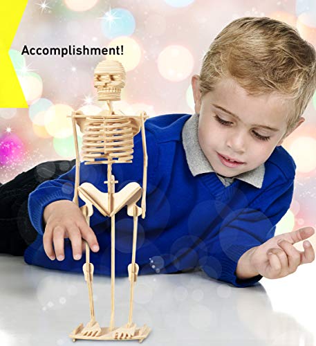 Puzzled 3D Puzzle Human Skeleton Wood Craft Construction Model Kit, Fun & Educational DIY Wooden Toy Assemble Model Unfinished Crafting Hobby Puzzle to Build & Paint for Decoration 50 Pieces Pack
