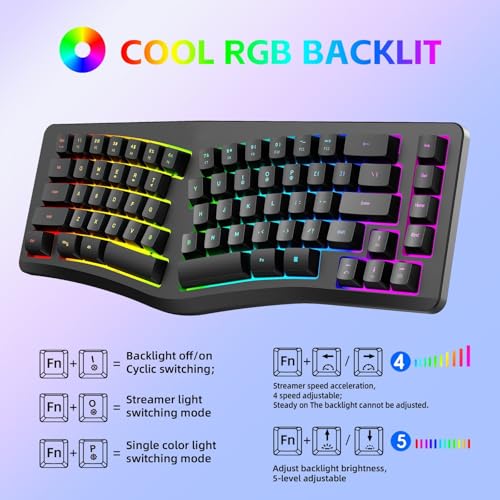 Rgbs Illuminateds Wireds Keyboards with Engraveds ABS Keycaps 25 Rollover Quiet Typing for Computers Ergonomic Gaming Keyboards