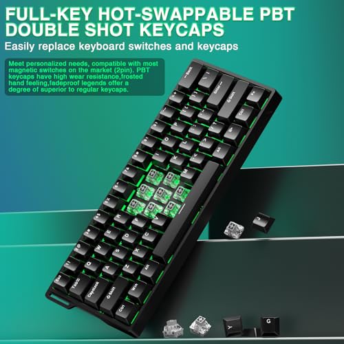 Aula WIN60 HE - 60% Mechanical Gaming Keyboard Wired, Magnetic Switch Hot Swappable, Adjustable Actuation Rapid Trigger Mode, 8000 Hz Polling Rate, RGB Small Keyboard 60 Percent Compact Design for PC - color: Black