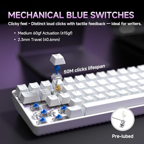 DIERYA DK68 60% Wireless Mechanical Gaming Keyboard, 3-Mode, Bluetooth 5.0/2.4G/USB-C, RGB Backlit, 68-Key Compact Mini for Windows, Mac, Linux - Clicky Blue Switch - White - color: White/Blue Switch, size: Wireless