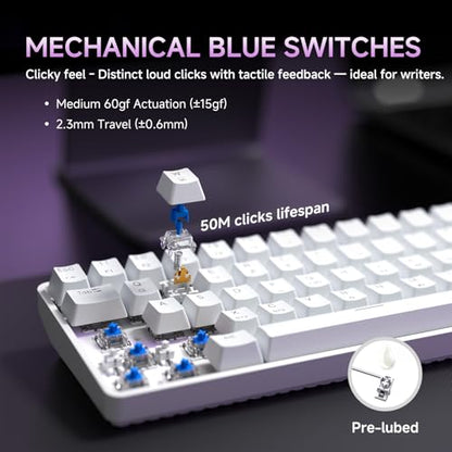 DIERYA DK68 60% Wireless Mechanical Gaming Keyboard, 3-Mode, Bluetooth 5.0/2.4G/USB-C, RGB Backlit, 68-Key Compact Mini for Windows, Mac, Linux - Clicky Blue Switch - White - color: White/Blue Switch, size: Wireless