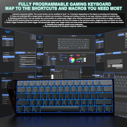 Aula WIN60 HE - 60% Mechanical Gaming Keyboard Wired, Hall Effect Magnetic Switch Hot Swappable,8000 Hz Polling Rate, RGB Keyboard 60 Percent Compact Design for PC (Gradient Gray) - color: Gradient Gray