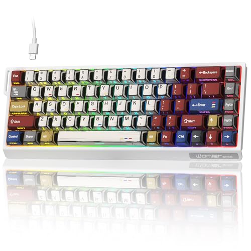 SK68 65% Gaming Keyboard, Wired Backlit Mini Keyboard w/100% Hot-Swap Socket 68 Keys Aluminum Gaming Wired Keyboard for PC Laptop Game - color: White