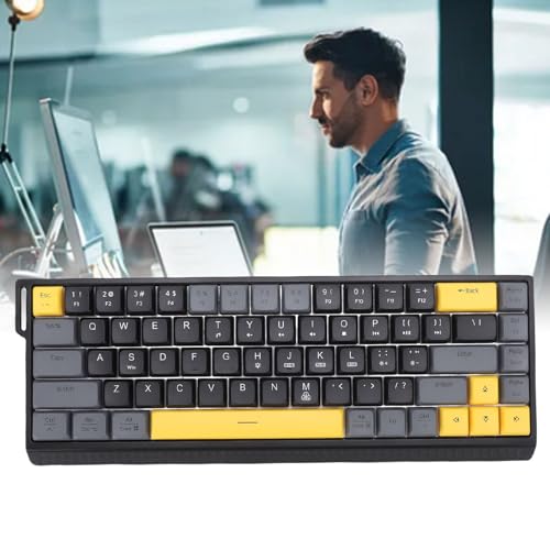 GOWENIC Wired Gaming Keyboard, RGB Backlit Mechanical Gaming Keyboard, 68 Keys Quiet Anti Ghosting No Conflict, Full Size Computer for PC Laptop (Black Gray) - color: Black Gray