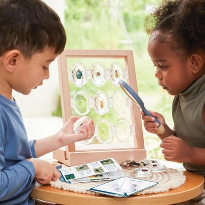 Kaplan Early Learning Company Specimen Stone Tabletop Stand