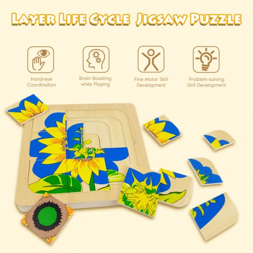 Montessori Wooden Puzzles for Kids Ages 4-8, 4 Layer Life Cycle Of Sunflower Jigsaw Puzzle for Toddlers, Children Preschool Learning Educational Puzzles Summer Toys Gift for Boys and Girls (Sunflower) - style: Sunflower
