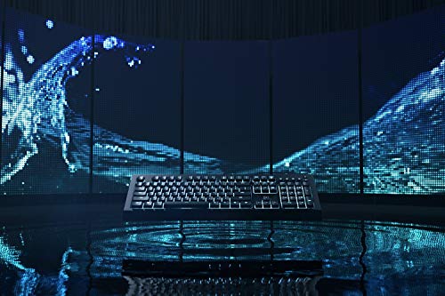 Razer Cynosa V2 Gaming Keyboard: Customizable Chroma RGB Lighting - Individually Backlit Keys - Spill-Resistant Design - Programmable Macro Functionality - Dedicated Media Keys - style: Cynosa V2