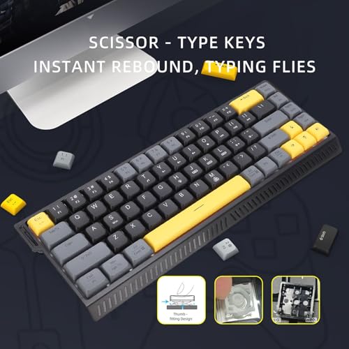Zopsc Wired Computer Keyboard, Quiet Anti Ghosting Slim Keyboard with RGB Backlit, Scissor Switch Compact 68 Keys Keyboard for Work Gaming, Office Laptop - color: Black Gray