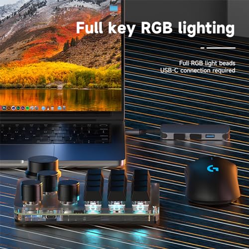 12 Keys Programmable Keyboard with 4-Knobs, One Handed Macro Pad, RGB Backlight Hot-swapping USB Designer Mini Keyboard for Gaming/Office/Work/PS - color: 12Key 4Konb 2.4G