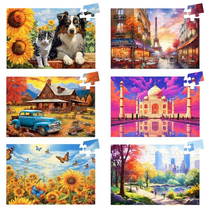 Biarek 6 Pack 36 Large Piece Puzzles for Seniors Puzzle Dementia Alzheimer's Products Activities for Elderly Adults Easy Jigsaw Puzzle Alzheimer's Gift for Patients in Nursing Home with 6 Storage Bags - style: 36 Large Pieces