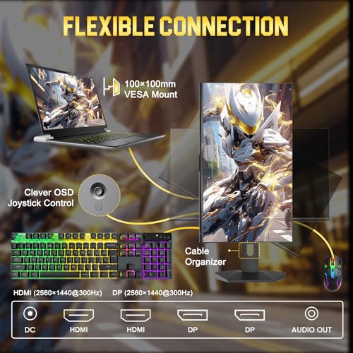 SANSUI 24.5 Inch Gaming Monitor QHD 1440P 300Hz 240Hz, 1ms Fast IPS Computer Monitor, 2× HDMI 2.1 Up to 300Hz, 2× DP 1.4 Up to 300Hz, 130% sRGB Eye Care VESA Support (DP Cable Included ES-G25F6Q Pro) - size: 25 Inch