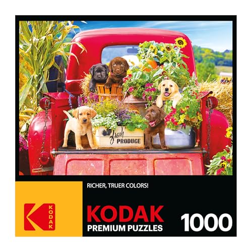 RoseArt Kodak Premium Stowaways 1000 Piece Jigsaw Puzzle for Adults | 20" x 27" Finished Size, Fully Interlocking Pieces, Bonus Poster Included, Made in USA - style: Stowaways