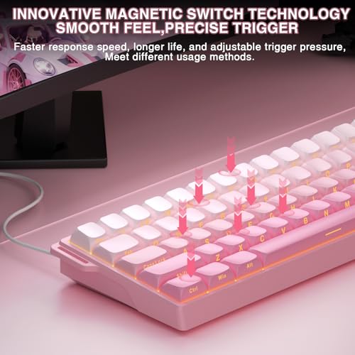 Aula WIN60 HE - 60% Mechanical Gaming Keyboard Wired, Hall Effect Magnetic Switch Hot Swappable,8000 Hz Polling Rate, RGB Keyboard 60 Percent Compact Design for PC (Gradient Pink) - color: Gradient Pink