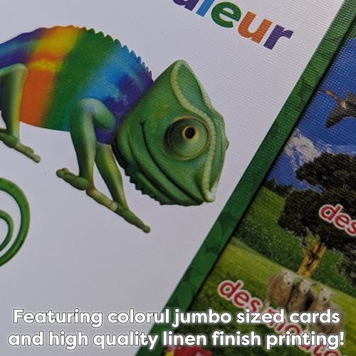 AGO En Francais 2 Card Game (Deluxe Edition): Learn French The Fun Way! - Boost Vocabulary & Grammar Skills - Interactive Learning for All Ages! - style: AGO En Francais 2