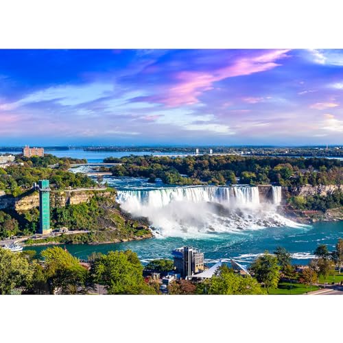 Jigsaw Puzzles for Adults 1000 Piece Puzzle for Adults 1000 Pieces Puzzle 1000 Pieces-Niagara Falls - color: Niagara Falls