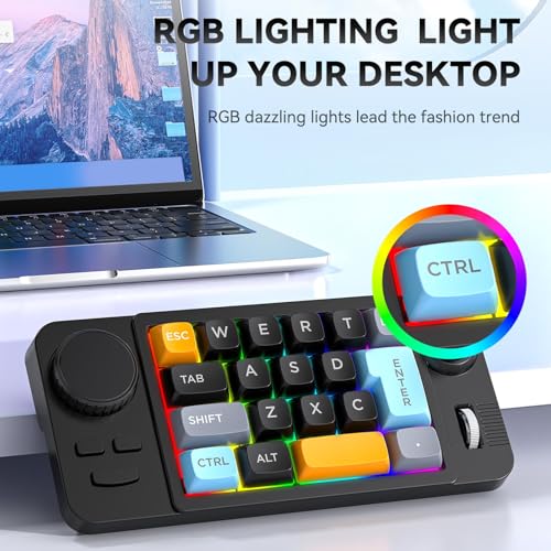 Yoidesu Programmable Macro Keyboard with RGB Backlight, 19 Key One Handed Wired USB C Mechanical Keypad with Knob Joystick, Hot Swappable for Work & Game