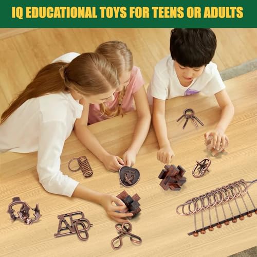 24 Pcs Brain Teaser Puzzles for Adults - Metal Puzzles 3D Puzzle Game Toys for Adults Teens - Wooden Unlock Interlocking Puzzle Adult IQ Education Smart Toys - style: Style B