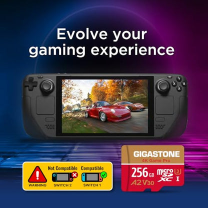 [5-Yrs Free Data Recovery] GIGASTONE 256GB Micro SD Card, 4K Game Pro, MicroSDXC Memory Card for Nintendo-Switch 1, GoPro, Action Camera, DJI, UHD Video, R/W up to 100/60MB/s, UHS-I U3 A2 V30 C10 - color: 256GB Game Pro 1-Pack