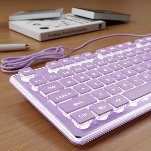 SEUNKWANG Wired Backlit Keyboard with Pudding Keycaps, Quiet Full Size Computer Keyboard White Backlight Easy-to-Read, Never Fade, Metal Panel, USB Cute Desk Setup for Windows PC Desktop, Purple - color: Purple