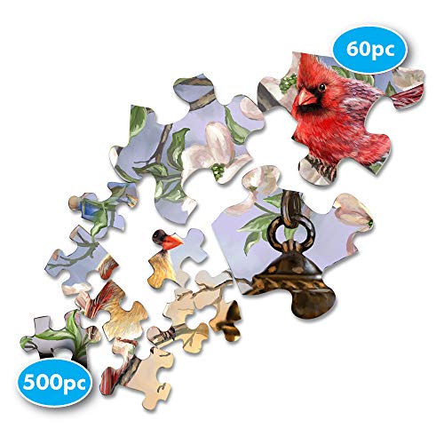 Springbok Puzzle to Remember - Alzheimer & Dementia Activity - 60 Piece Jigsaw Puzzle Spring Lantern - Made in USA