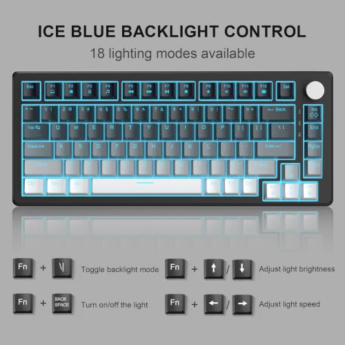 MageGee 75% Mechanical Gaming Keyboard, Compact Blue Backlit Wired Gaming Keyboards with Linear Red Switches, Knob Control, STAR75 Portable NKRO PC Gaming Keyboard - Gradient Gray - color: Gradient Gray - Red Switch