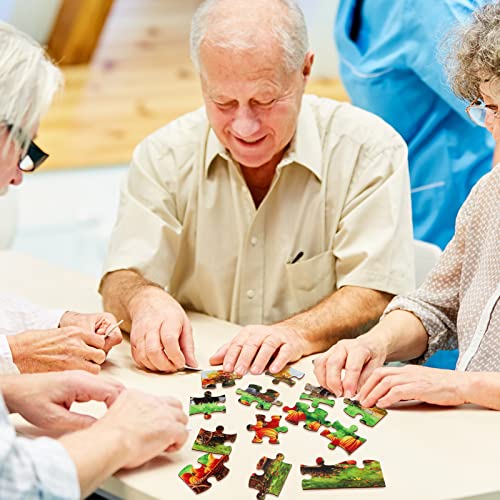 Liliful 6 Pack 16 Pcs Large Puzzles for Seniors Wooden Dementia Puzzles Alzheimer Puzzles Easy Puzzle for Elderly 12.6 x 9.45 Inch Jigsaw Puzzle for Adults Alzheimer's Products Activities