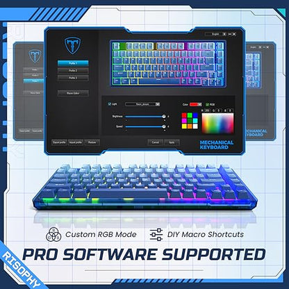 RisoPhy 60 Percent Mechanical Gaming Keyboard - 82 Keys Hot Swappable, Linear Silent Red Switches, Blue PBT Keycaps, Compact Mini RGB Led Backlit Wired, Pro Driver Supported