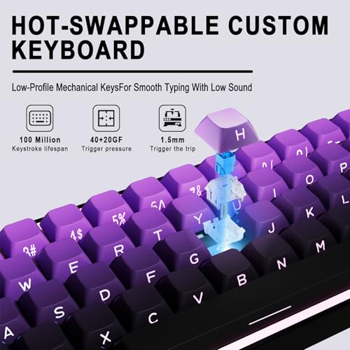 Wired 65% Mechanical Gaming Keyboard, Purple Gradient PBT Keycaps RGB Backlit Compact Mini Keyboard, Portable Ergonomic Gaming Keyboard for PC Laptop Desktop Gamers Office Work - color: Purple