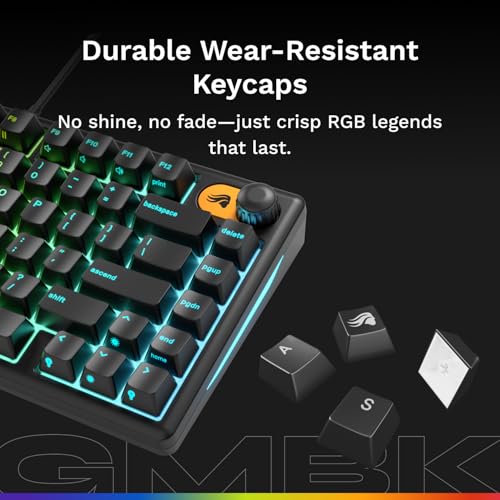 GLORIOUS Gaming Keyboard GMBK 75% - Swappable MX Compatible keycaps, Detachable USB Cable, IP57 Water and dust Resistant, 10 Zone RGB Lighting, Quiet switches - 321x137x41 mm - English QWERTY Layout - color: Black, size: GMBK Prebuilt (75%)