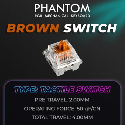 TECWARE Phantom+ 87 Mechanical Gaming Keyboard | RGB LED Backlit | Hot Swappable Wraith Brown Switches | 87 Key TKL Layout | Thocky Sound Profile | Detachable USB-C Wired | Black - color: Brown Switch