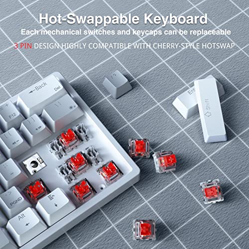SK961 60% Wireless Gaming Keyboard with Triple Mode BT5.0/2.4GHz/USB-C Wired,RGB Backlight 61 Keys Wireless 60% Keyboard Hot Swappable Mechanical Keyboard,Red Switch - color: SK961-greywhite-redswitch