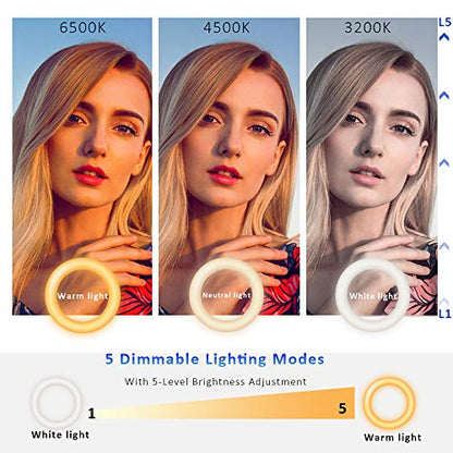 Video Conference Lighting Kit, Ring Light for Monitor Clip On | for Remote Working, Distance Learning,Zoom Calls, Self Broadcasting and Live Streaming, Computer Laptop Video Conferencing - size: 5 Inch