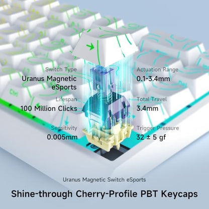 MCHOSE ACE 68 60% Mechanical Gaming Keyboard Wired Rapid Trigger Hall Effect Keyboard Magnetic Switch Adjustable Actuation 8000Hz Polling Rate Custom RGB MAC Laptop(White Topographic TTC Dragon Lord) - color: 68-White Topo Dragon Lord