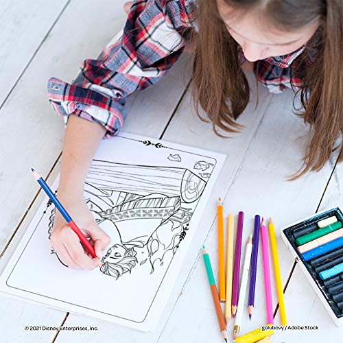 Disney Frozen 2 Anna and Elsa Coloring and Activity Carry Set with Sticker Sheets AS45853 Bendon, Multicolor