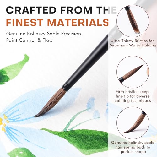 Golden Maple Kolinsky Sable Brushes, 6PCS Fine Point Watercolor Brushes, Professional Model Miniature Paint Brushes Suitable for Watercolor, Gouache, Tempera, Acrylic, Figure Painting